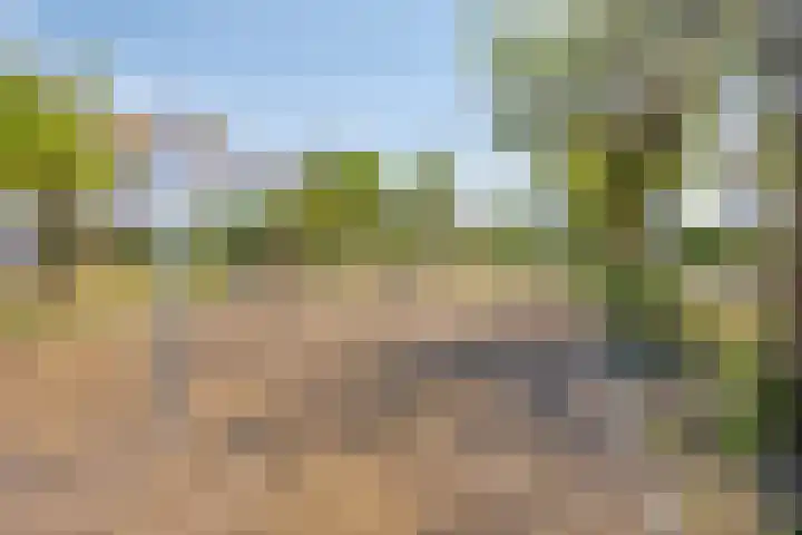 Grote Pagestraat 23 Rosmalen thumbnail 37