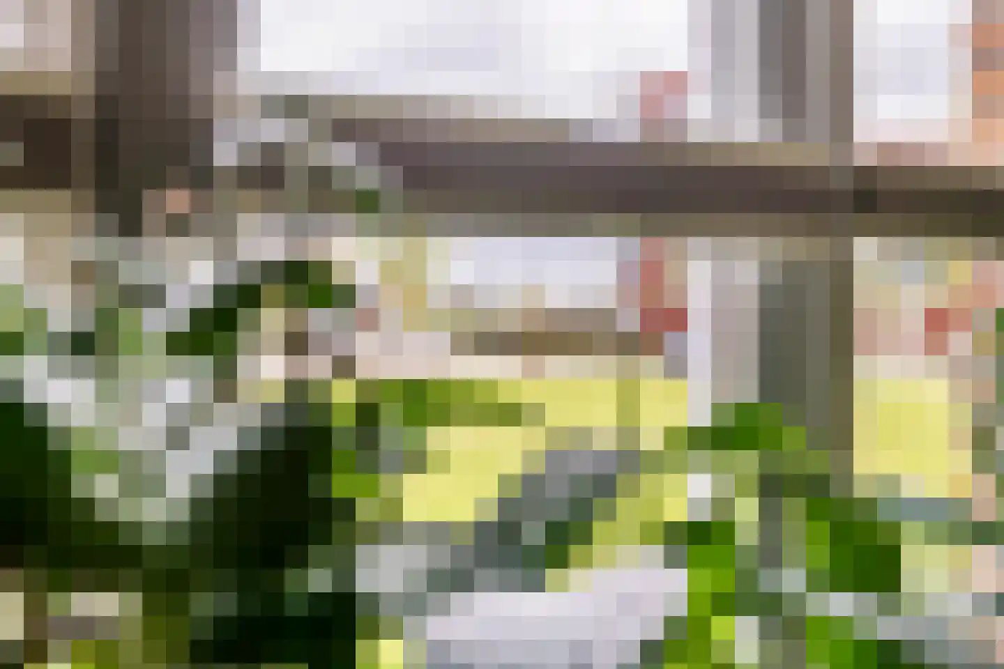 Grote Parelmoervlinder 18 Tiel thumbnail 19