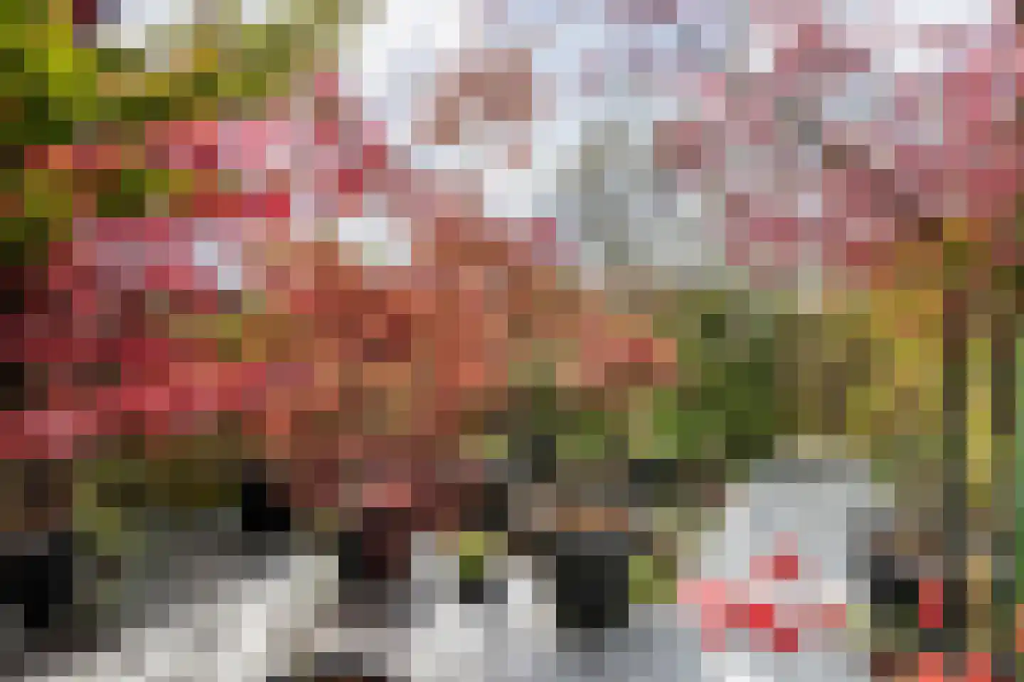 Grote Parelmoervlinder 18 Tiel thumbnail 35
