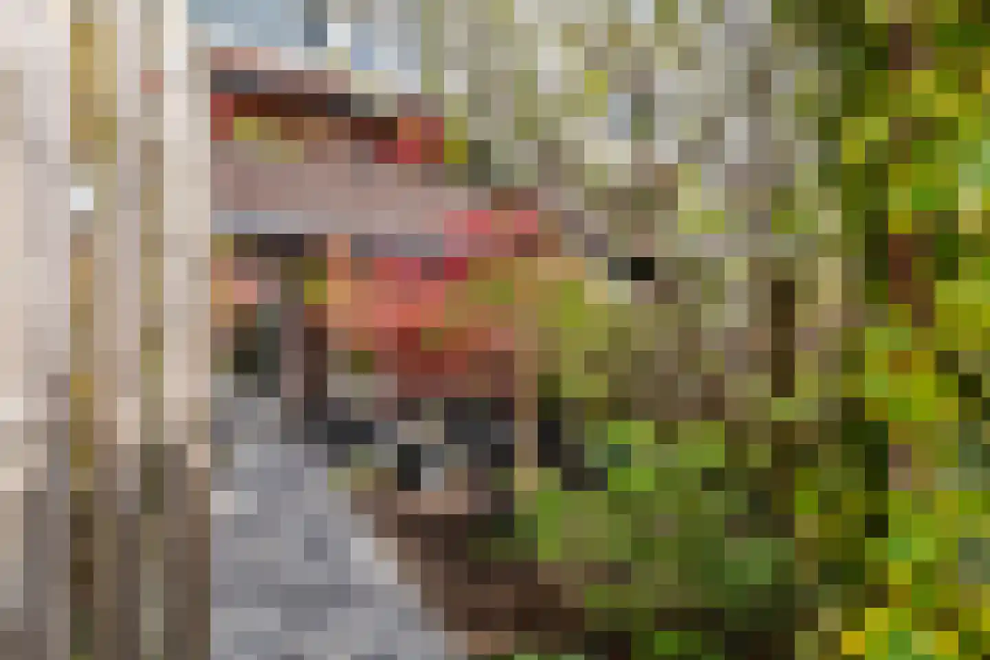 Grote Parelmoervlinder 18 Tiel thumbnail 36