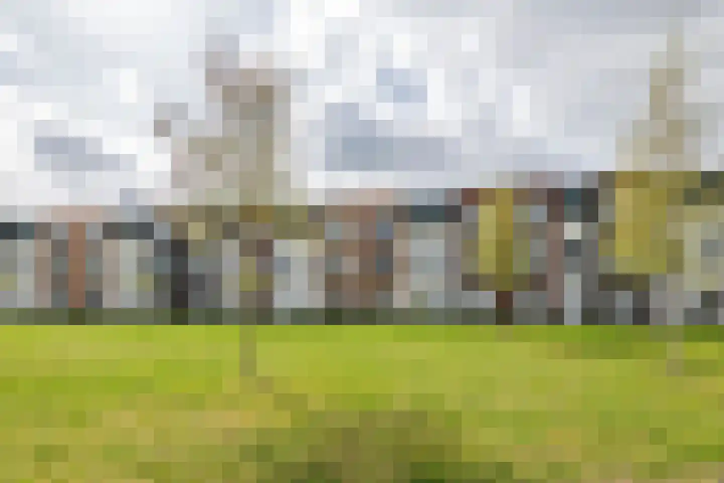 Grote Parelmoervlinder 18 Tiel thumbnail 43