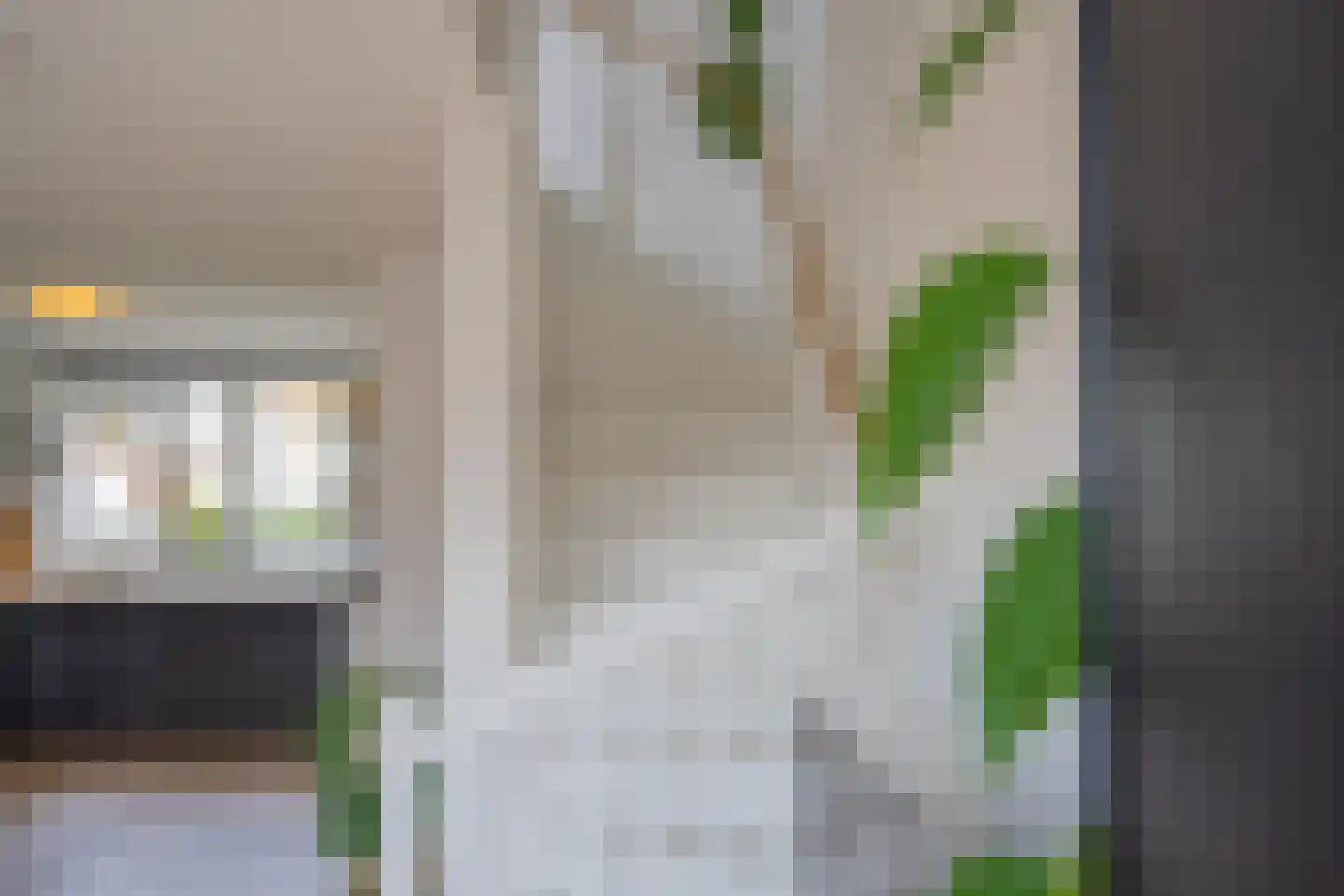 Grote Parelmoervlinder 6 Tiel thumbnail 36