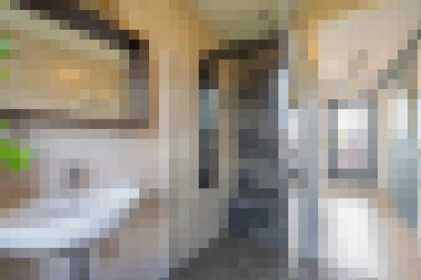 Grote Parelmoervlinder 6 Tiel thumbnail 44