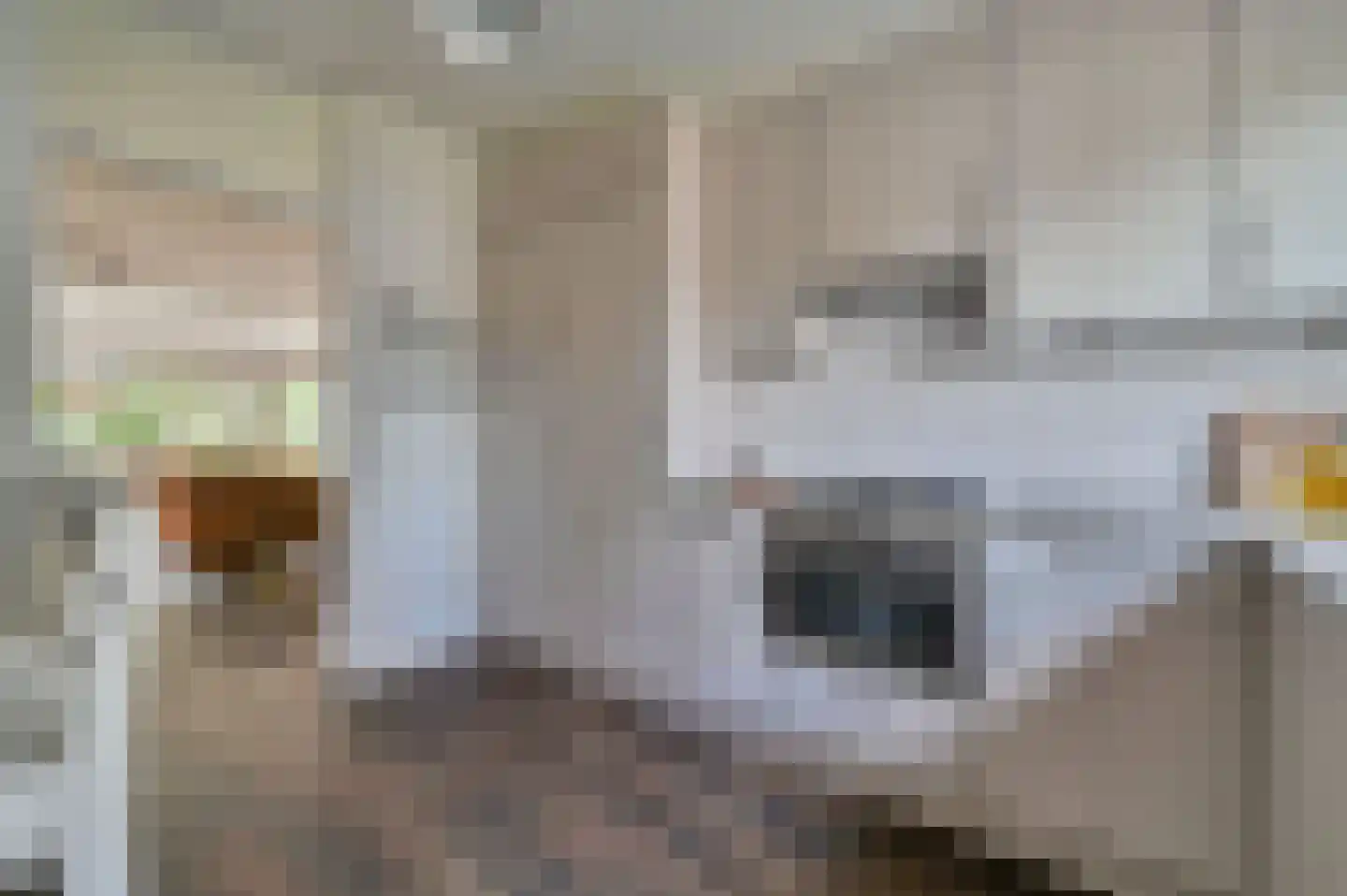 Grote Plaat 47 Zeewolde thumbnail 15