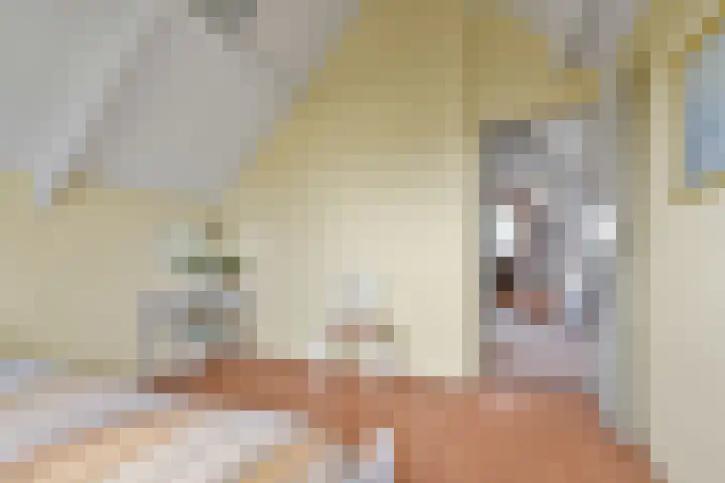 Grote Poellaan 13 Rijsenhout thumbnail 27