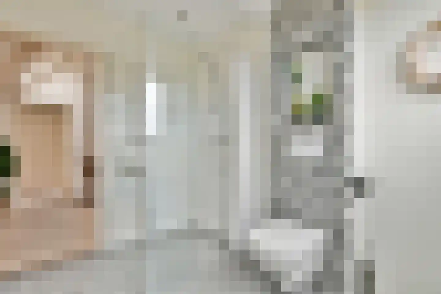 Grote Poellaan 13 Rijsenhout thumbnail 29