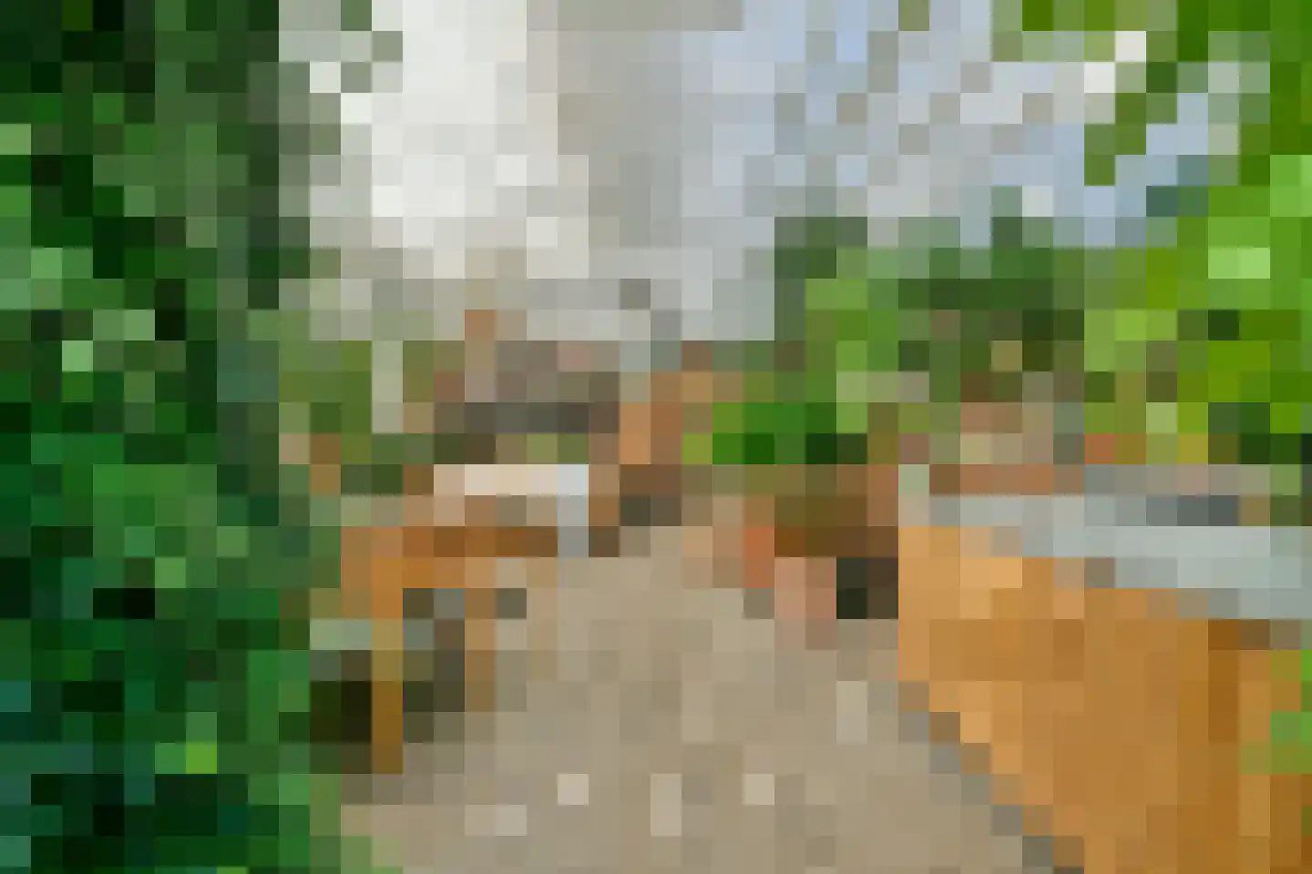Grote Poellaan 13 Rijsenhout thumbnail 37
