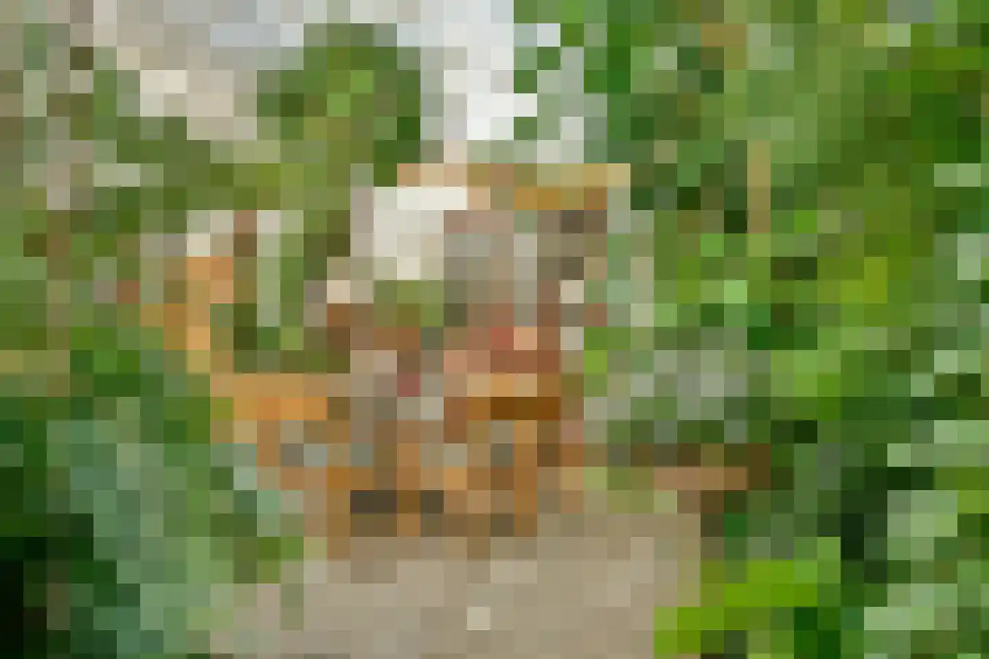 Grote Poellaan 13 Rijsenhout thumbnail 42