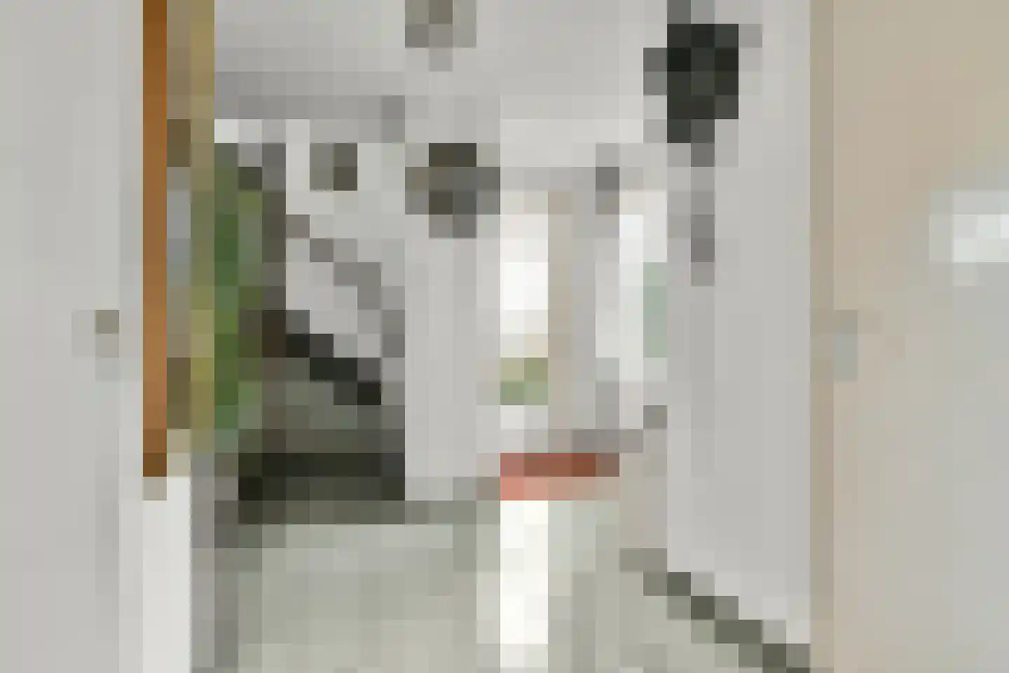 Grote Poellaan 13 Rijsenhout thumbnail 9