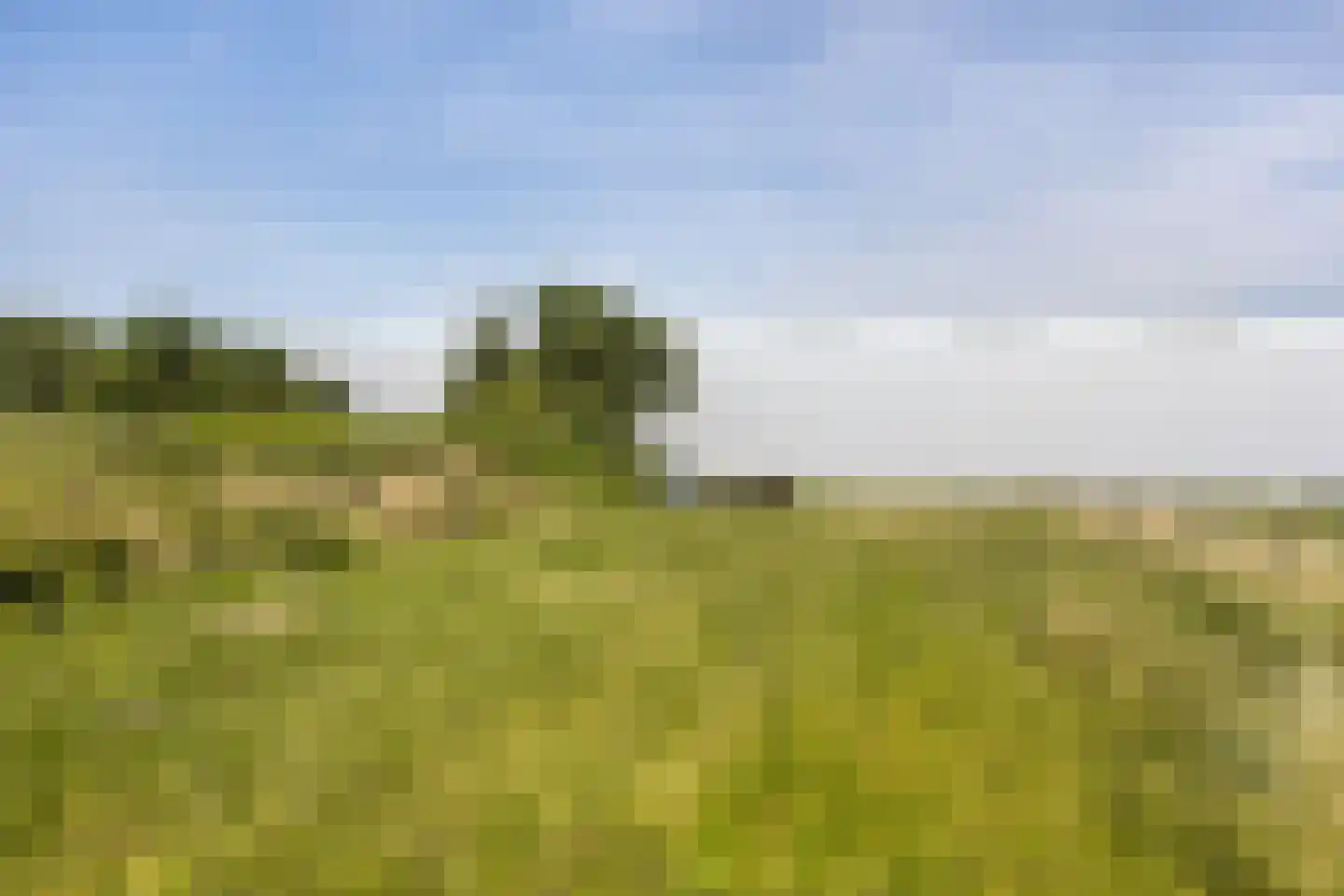 Grote Poellaan 61 Rijsenhout thumbnail 20