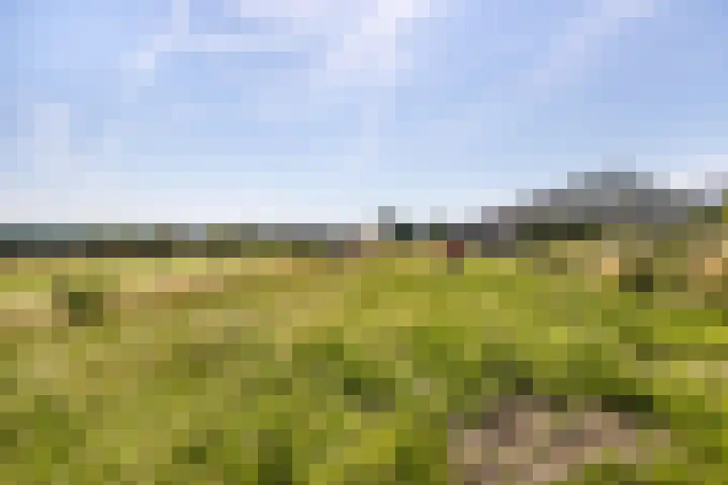 Grote Poellaan 61 Rijsenhout thumbnail 21