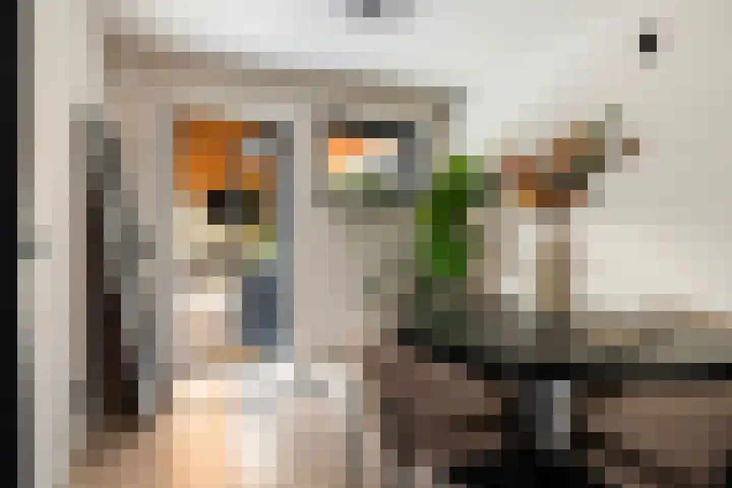 Grote Poelslak 1 Amersfoort thumbnail 12