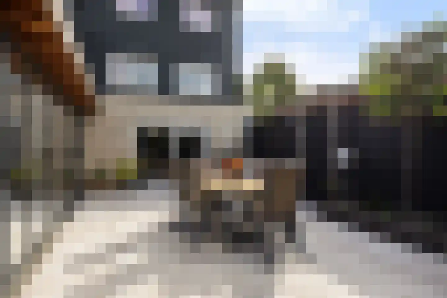 Grote Poelslak 1 Amersfoort thumbnail 17