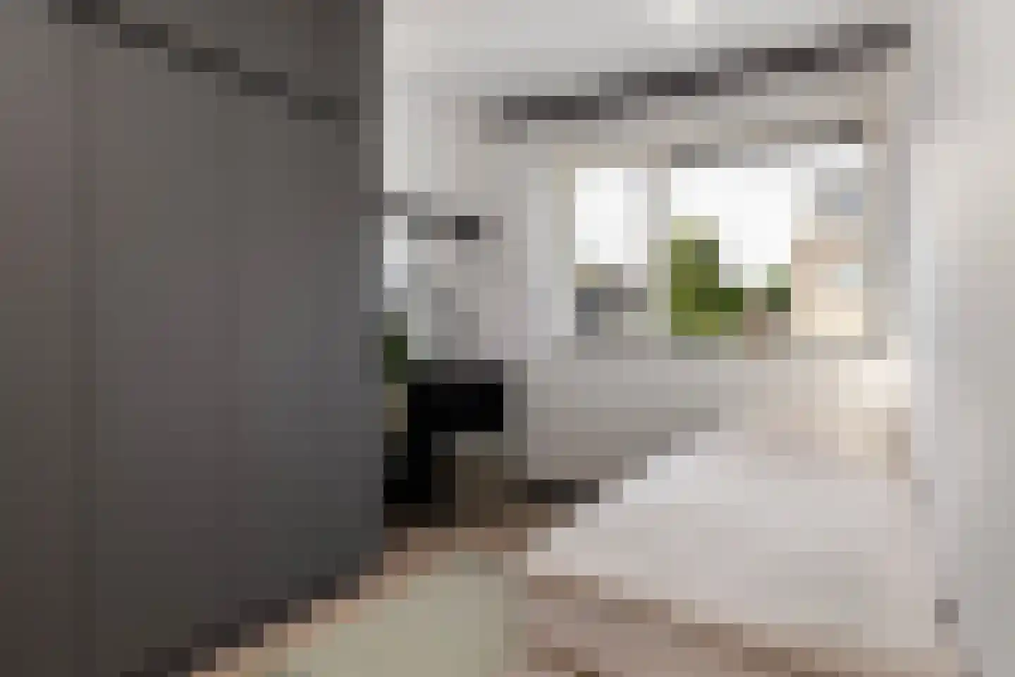 Grote Poelslak 1 Amersfoort thumbnail 20