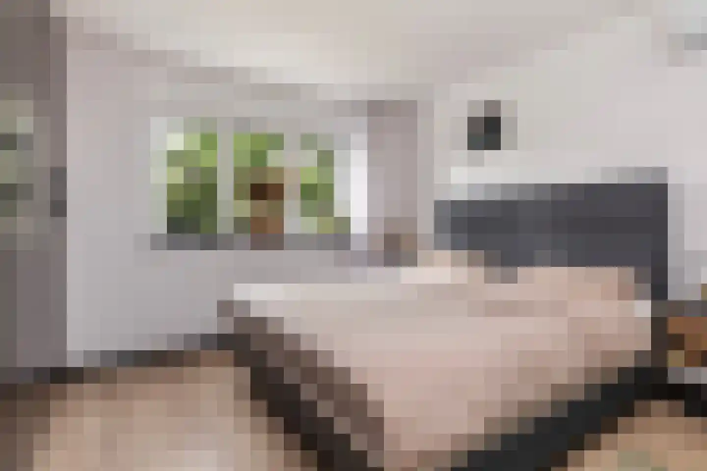 Grote Poelslak 1 Amersfoort thumbnail 28