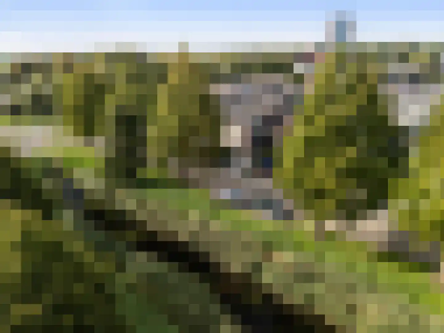 Grote Poelslak 1 Amersfoort thumbnail 34