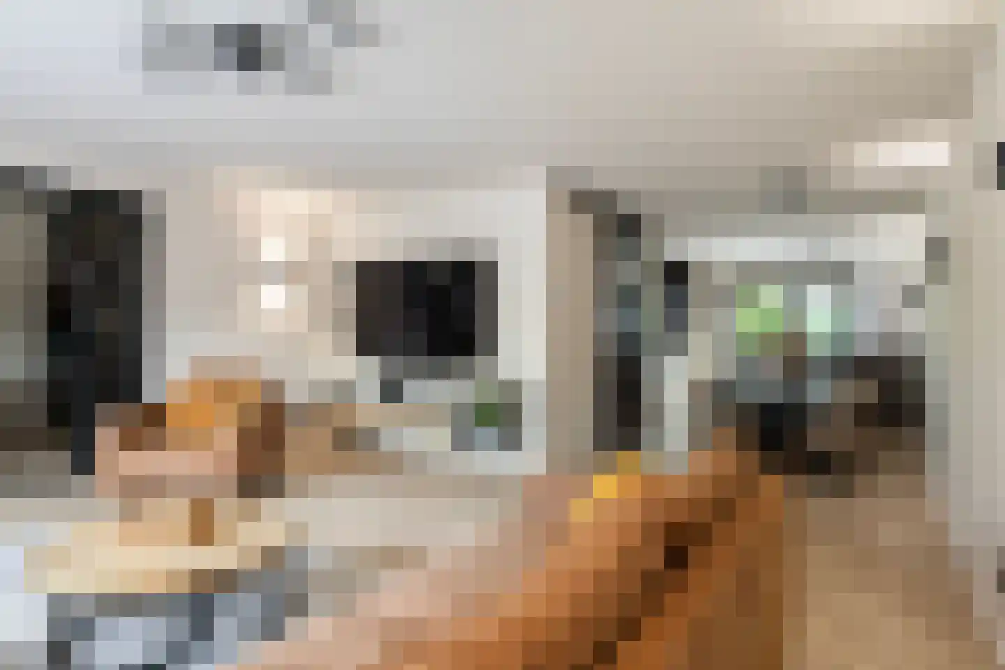 Grote Poelslak 1 Amersfoort thumbnail 4