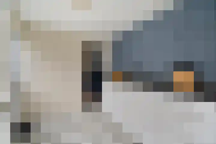 Grote Poortstraat 37 Harderwijk thumbnail 22