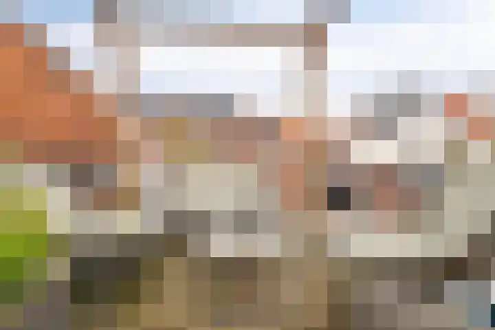 Grote Poortstraat 37 Harderwijk thumbnail 32