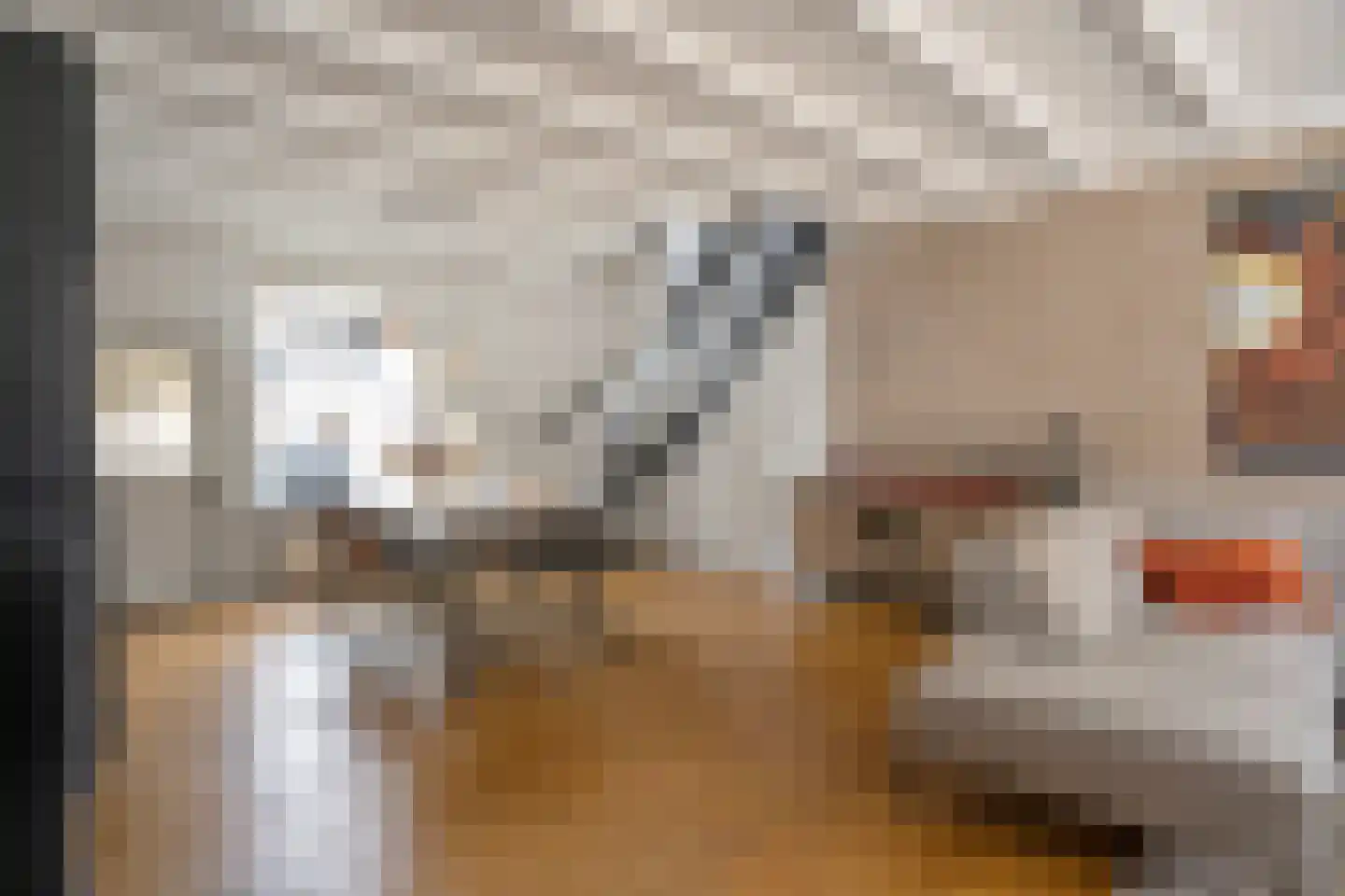 Grote Poortstraat 49 Harderwijk thumbnail 5