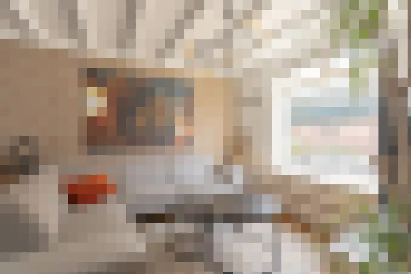 Grote Poortstraat 49 Harderwijk thumbnail 6