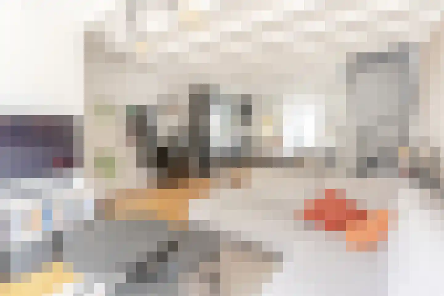 Grote Poortstraat 49 Harderwijk thumbnail 8