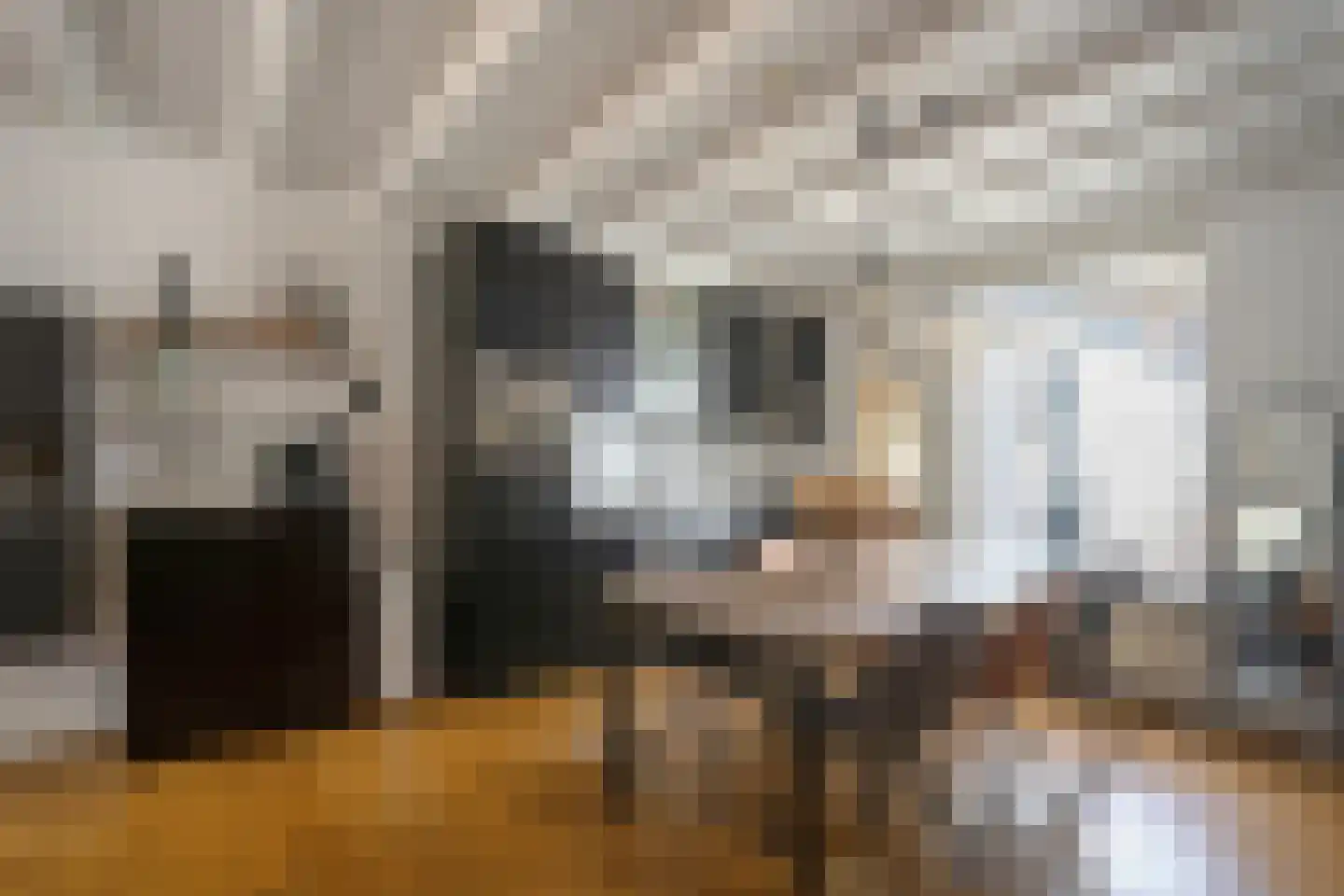 Grote Poortstraat 49 Harderwijk thumbnail 9