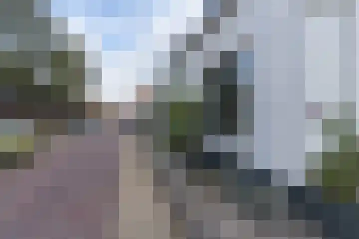 Grote Poortstraat 57 Harderwijk thumbnail 33