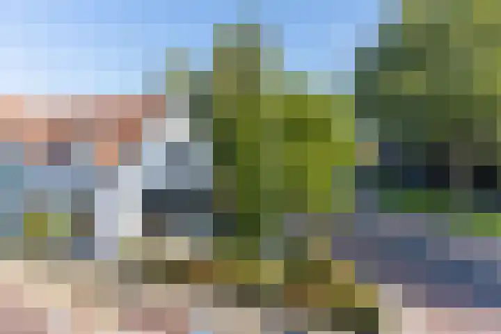Grote Poortstraat 57 Harderwijk thumbnail 36
