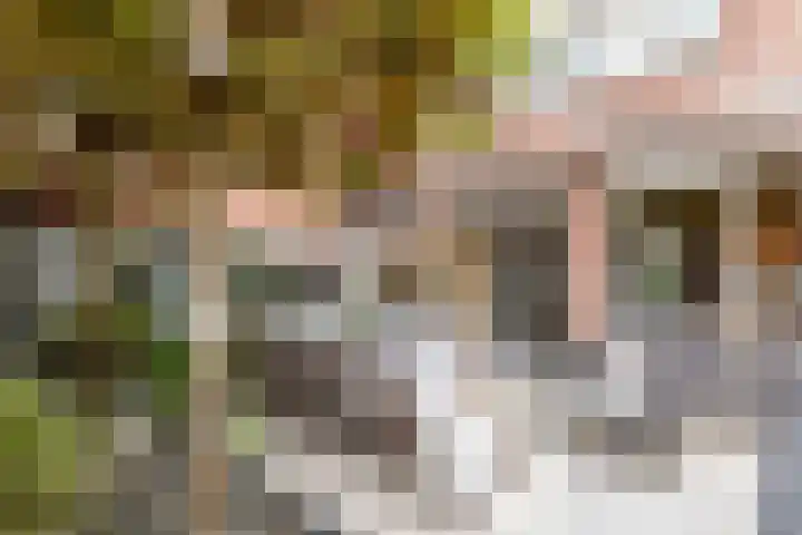 Grote Poortstraat 88 Harderwijk thumbnail 6