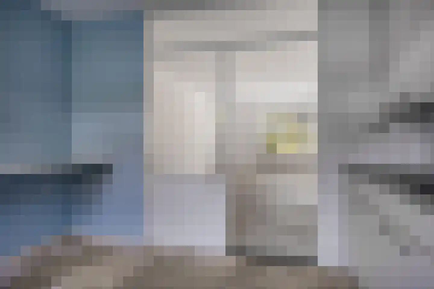 Grote ratelaar 117 Deventer thumbnail 15