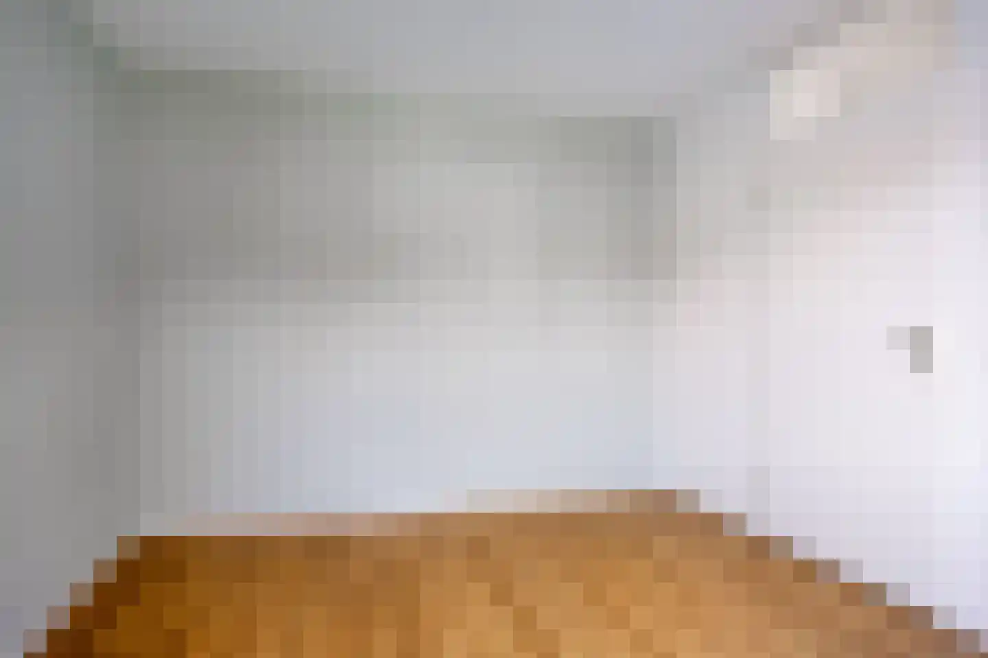 Grote ratelaar 117 Deventer thumbnail 20