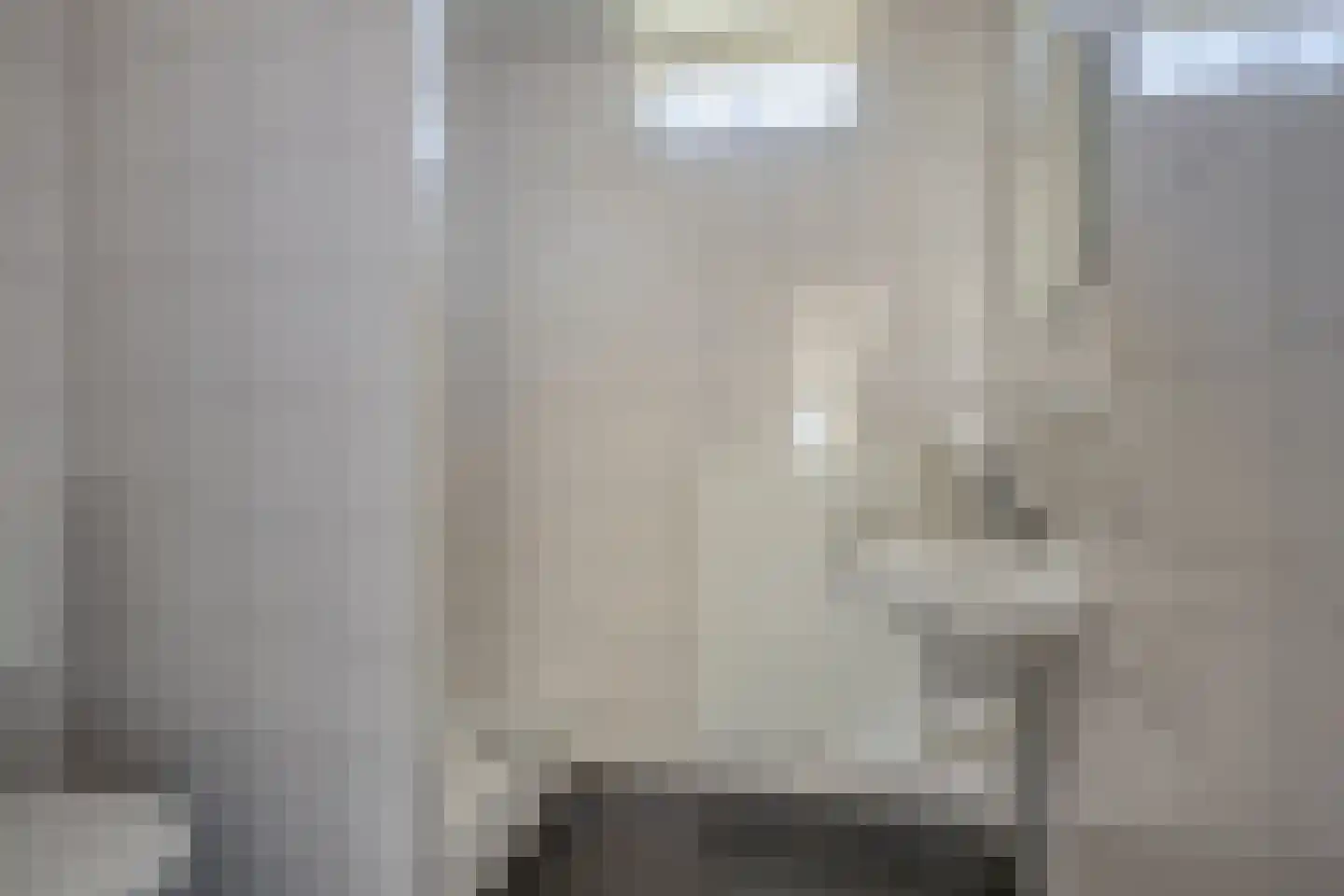 Grote ratelaar 117 Deventer thumbnail 21