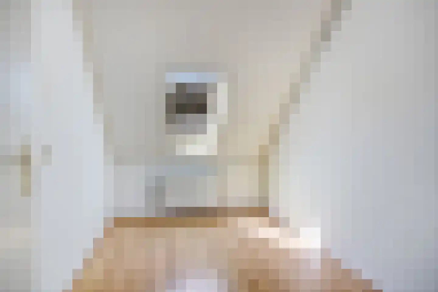 Grote ratelaar 117 Deventer thumbnail 26