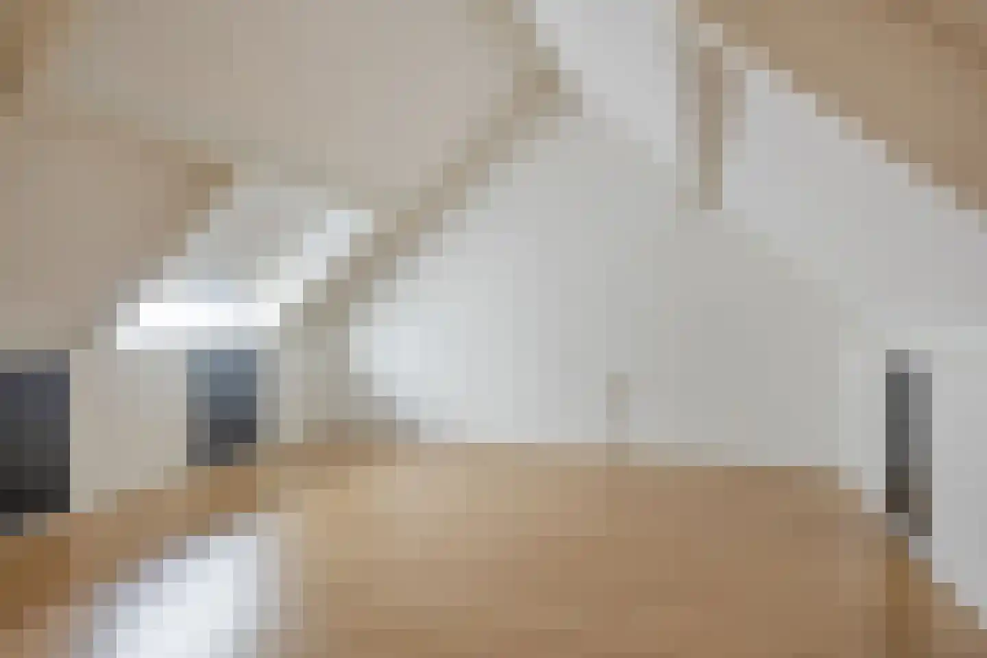 Grote ratelaar 117 Deventer thumbnail 29