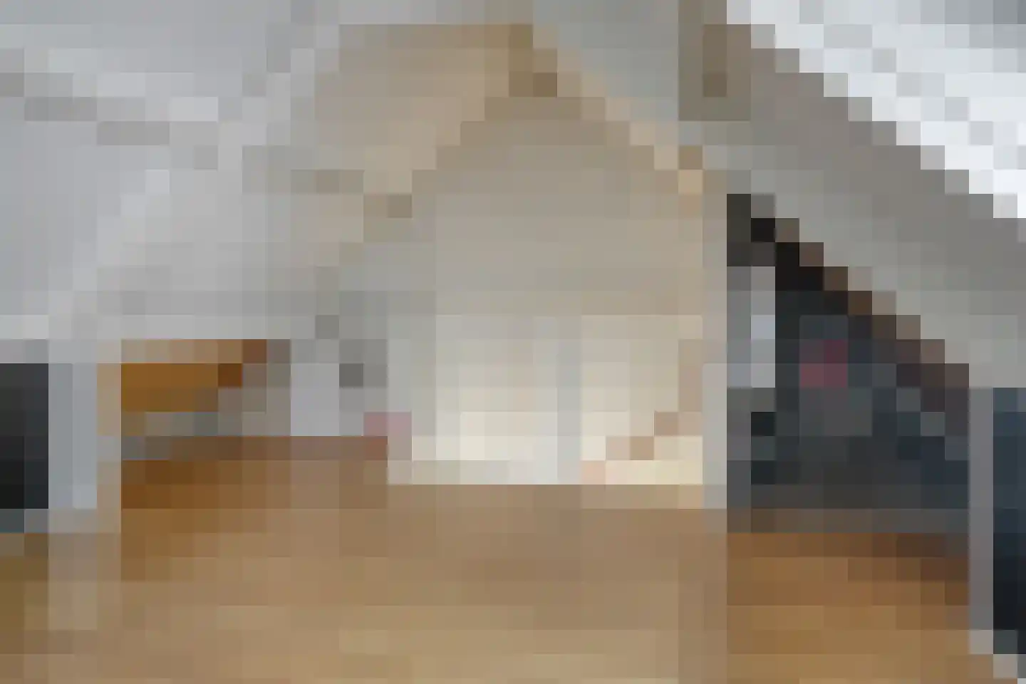 Grote ratelaar 117 Deventer thumbnail 30
