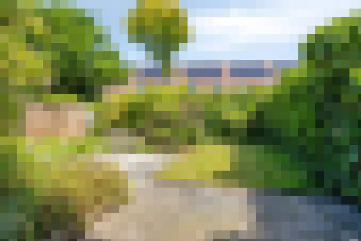 Grote ratelaar 117 Deventer thumbnail 31