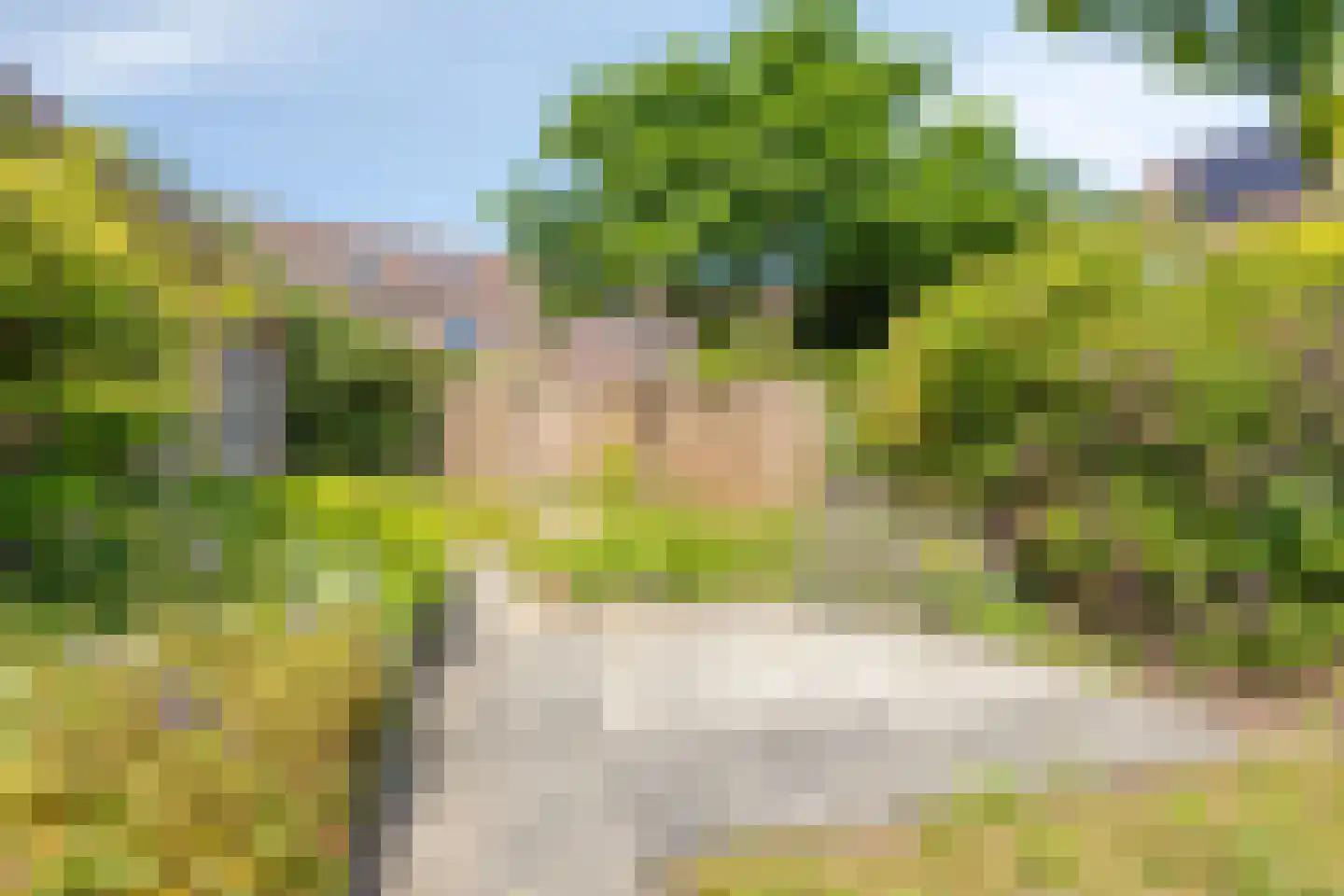 Grote ratelaar 117 Deventer thumbnail 32