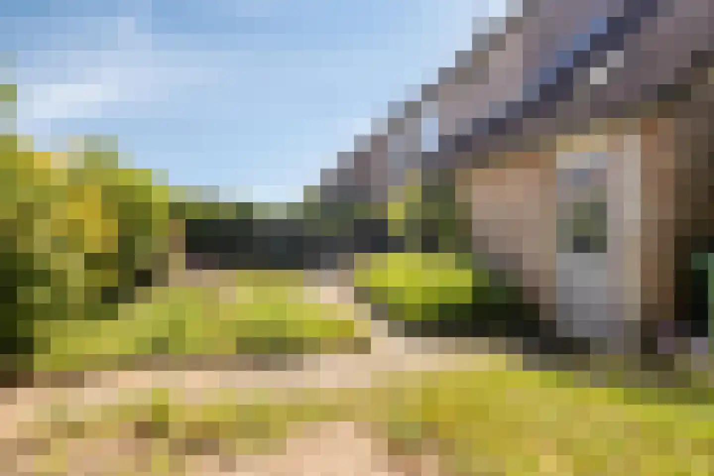 Grote ratelaar 117 Deventer thumbnail 33