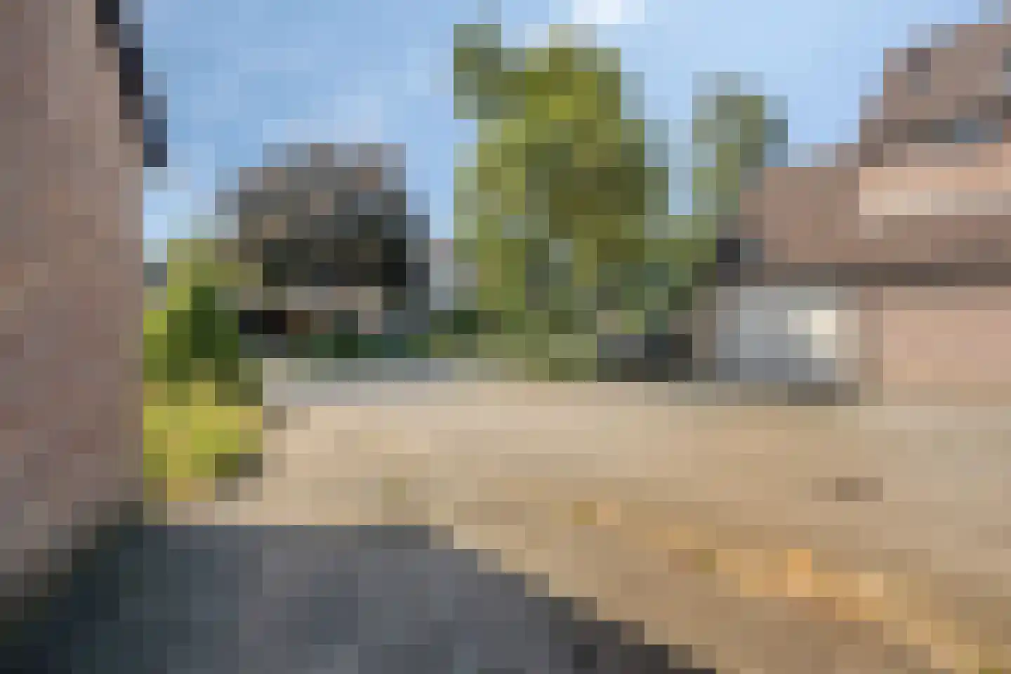 Grote ratelaar 117 Deventer thumbnail 36
