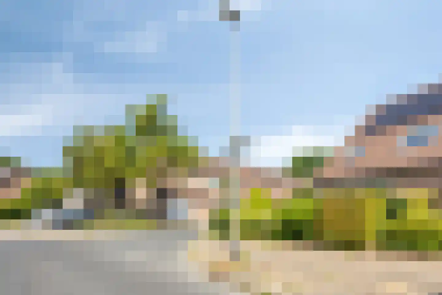 Grote ratelaar 117 Deventer thumbnail 37