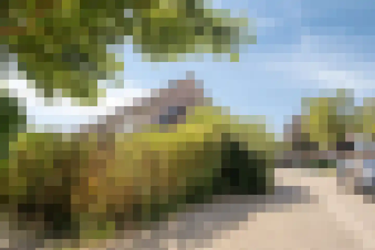 Grote ratelaar 117 Deventer thumbnail 38