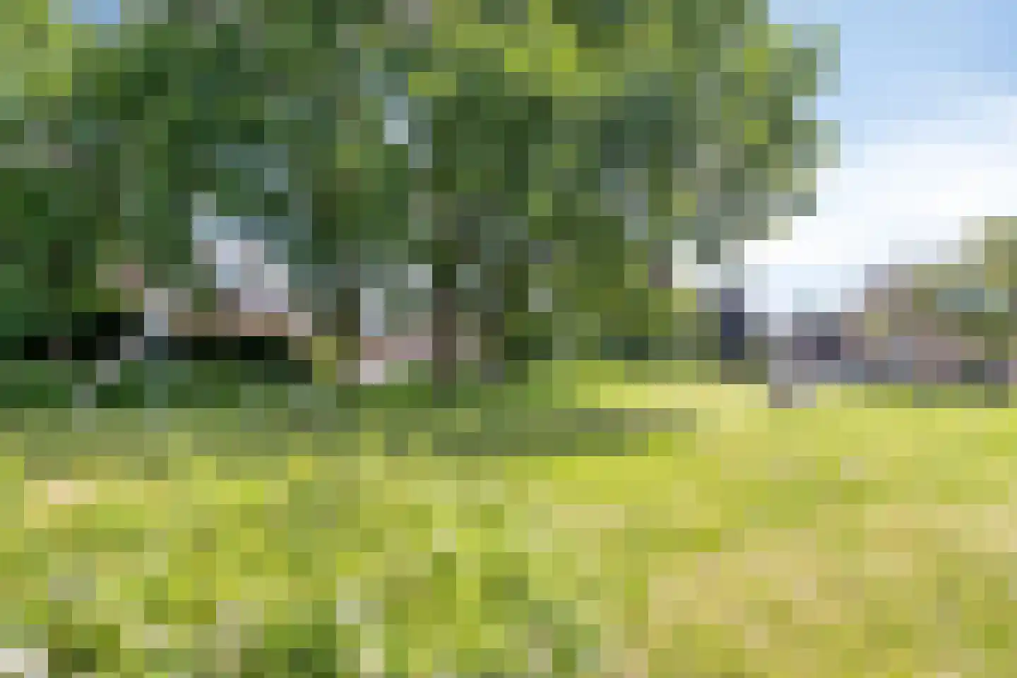 Grote ratelaar 117 Deventer thumbnail 39