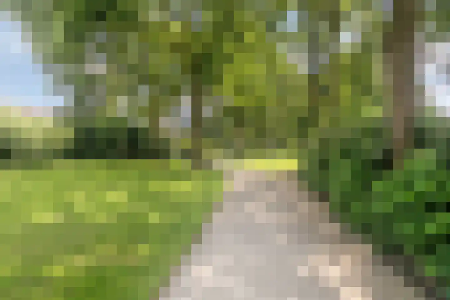 Grote ratelaar 117 Deventer thumbnail 40