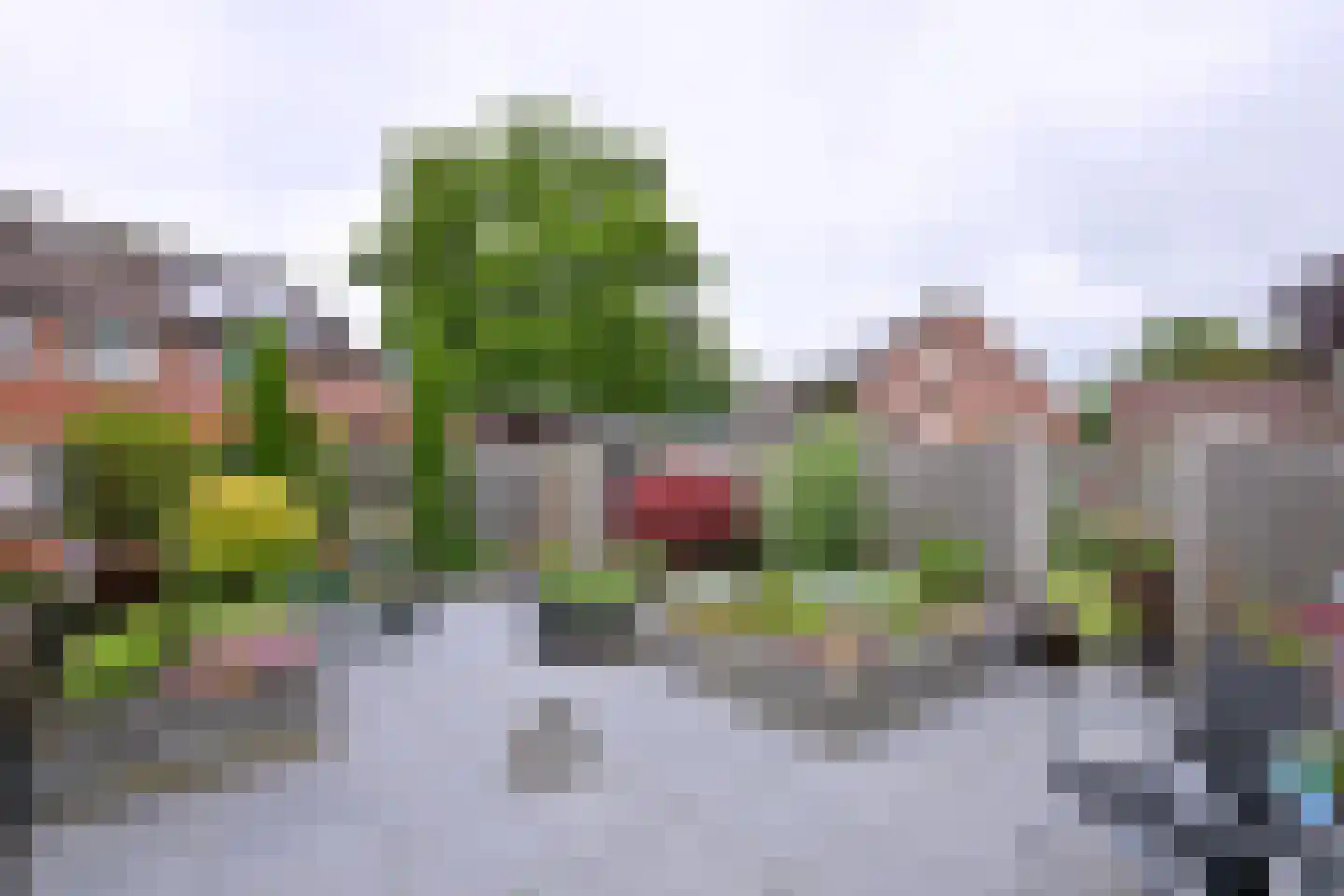 Grote ratelaar 187 Deventer thumbnail 10