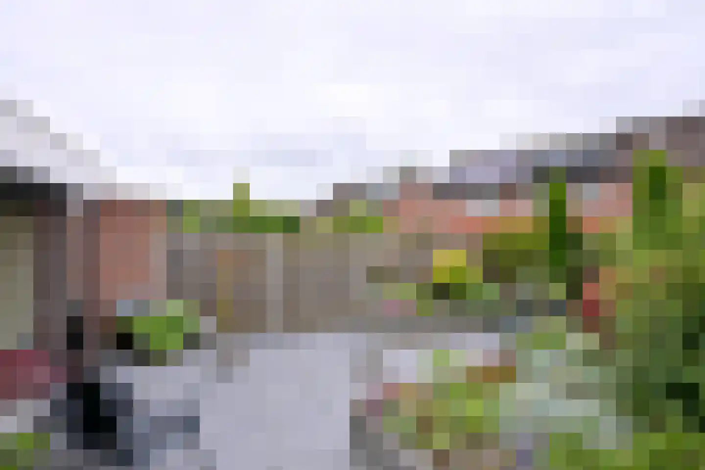 Grote ratelaar 187 Deventer thumbnail 11