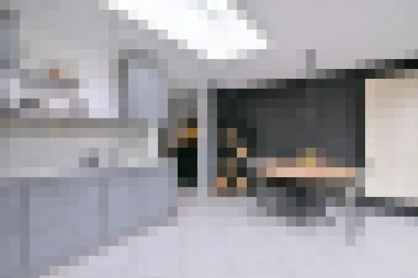 Grote ratelaar 187 Deventer thumbnail 13