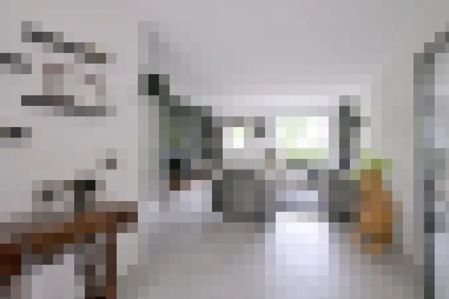Grote ratelaar 187 Deventer thumbnail 15