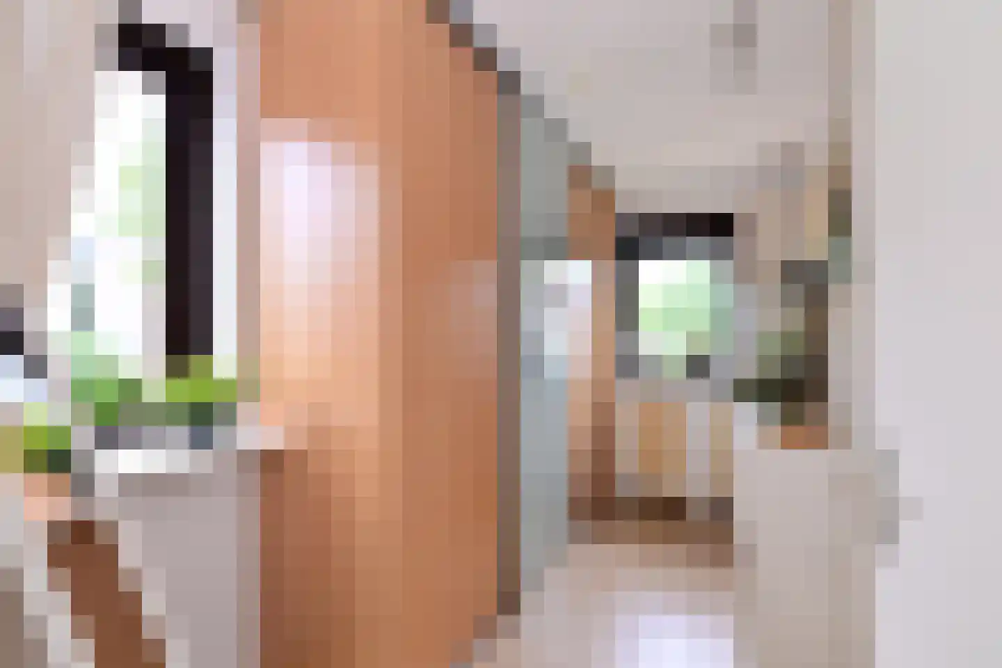 Grote ratelaar 187 Deventer thumbnail 25