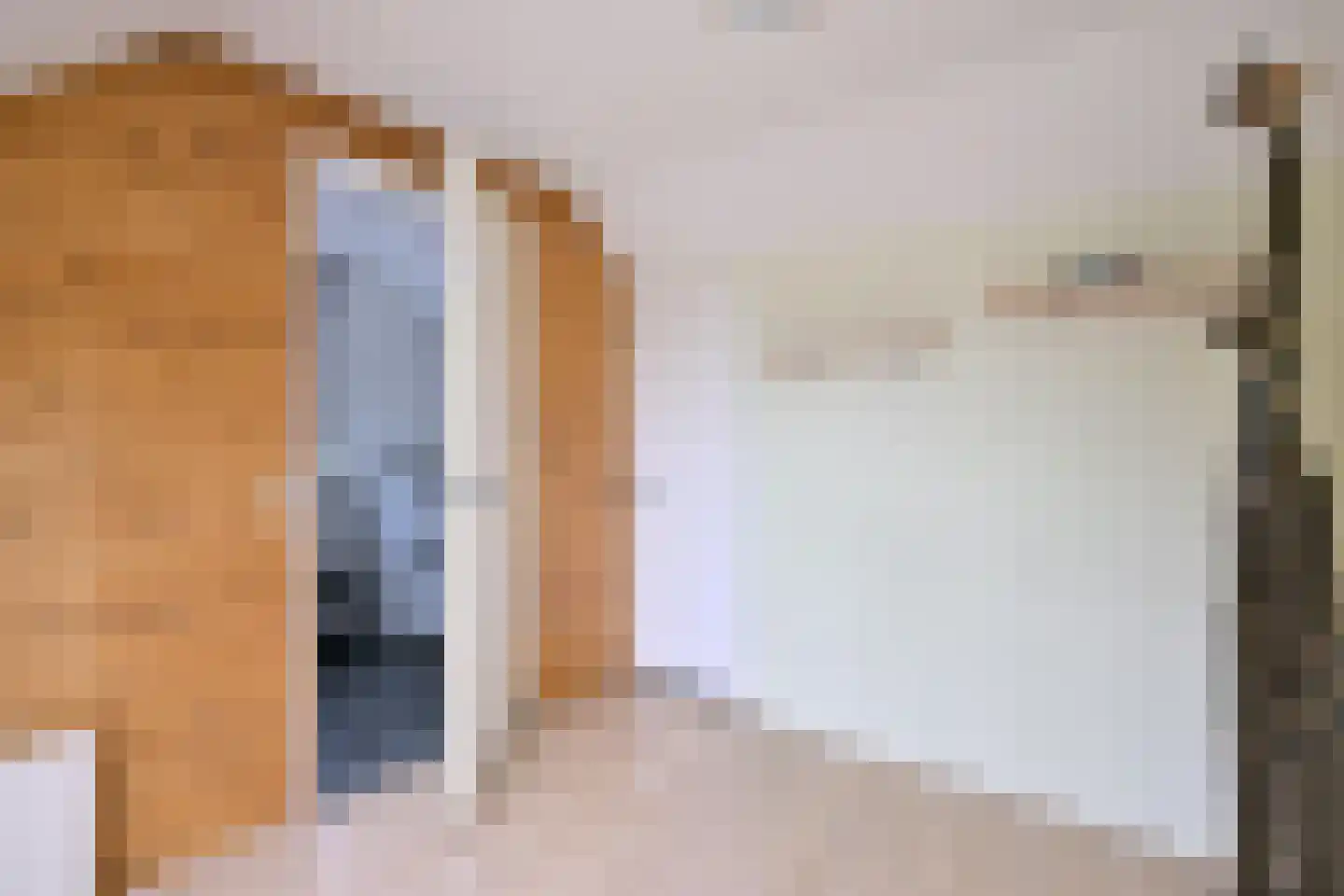 Grote ratelaar 187 Deventer thumbnail 28